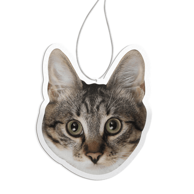 Custom air freshener